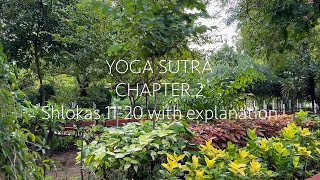 Yoga Sutra  211 to 220  Removing the Kleshas amp Understanding the Seer and Seen Just Sudha Gyan [upl. by Nlyak]