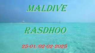 MALDIVE RASDHOO [upl. by Sakovich]