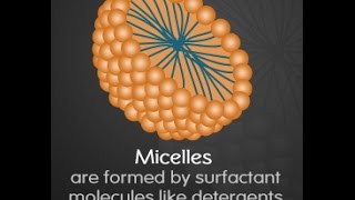 Micelle Function Structure and Formation [upl. by Letch]