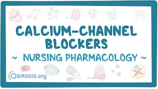 Calciumchannel blockers Nursing Pharmacology [upl. by Addi666]