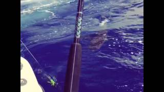 Deep Sea Fishing in Belize [upl. by Eelyrag41]