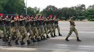 Video Viral  Anggota Pranita Tentera Darat berlatih Kawad Goose Step [upl. by Ongineb]