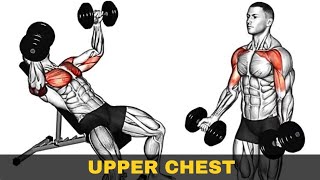 Building a Bigger Upper Chest  Ultimate Workout Guide [upl. by Eylrahc]