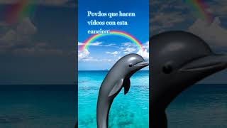 el video más random q hayan visto 💙🐬🌈😭🌊🌊🌊🌊 [upl. by Von]