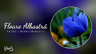 Ektro  Floare Albastră versuri Mihai Eminescu [upl. by Mozelle341]