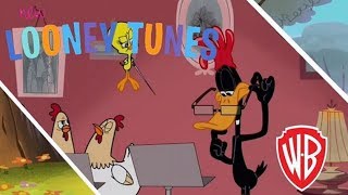 New Looney Tunes  Daffys singing lessons [upl. by Towland928]