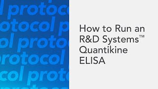 How to Run an RampD Systems Quantikine ELISA  an ELISA protocol video [upl. by Wernher]