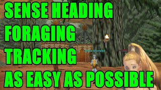 EverQuest P99 Quick Tip 7  Easy Sense Heading Foraging and Tracking Skill [upl. by Adah968]