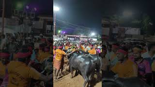 Moodbidri Kambala Final Race [upl. by Swayne11]