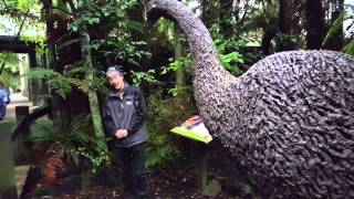 Extinct bird Moa New Zealand [upl. by Hau744]