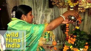 Phallus worship Hindu woman prays and pours milk over Shivling stone statue [upl. by Sterne]