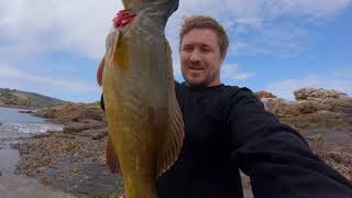 Best Fish to Catch n Cook in Australia [upl. by Budwig]