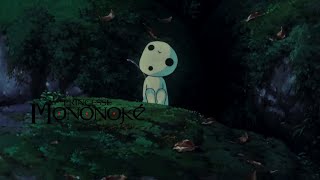 Princess Mononoke  Kodama  Music and Ambience [upl. by Yurt242]