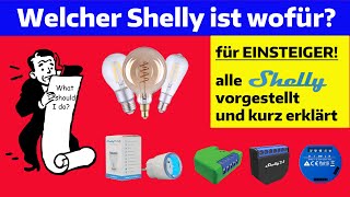 Ich stelle alle aktuellen Shellys vor und erkläre kurz wofür man welchen Shelly verwenden kann [upl. by Polky528]