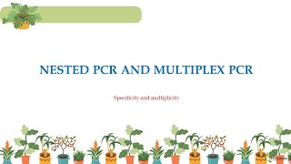 Nested Polymerase Chain Reaction  Diagnosis  Validation  Specificity  Multiplex PCR [upl. by Michaud]