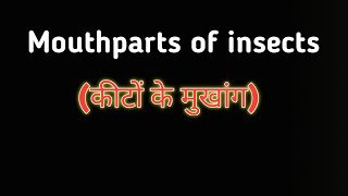 Mouthparts of insects कीटों के मुखांग [upl. by Verneuil]