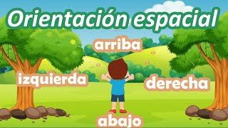 Arriba abajo izquierda y derecha para niños  Orientación espacial para niños [upl. by Annekahs457]