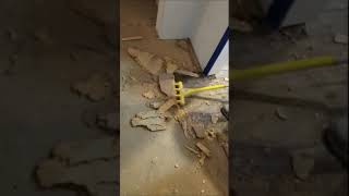 Particle Board Floor Removal [upl. by Weiss]