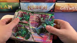 Bloomburrow Collectors Box Opened To Dig For Powerful Furries Magic The Gathering MTG BLB Unboxing [upl. by Sal307]