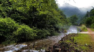 Relaxing river sounds for sleeping  Nature river sound in the forest  White noise  ASMR [upl. by Tichon230]