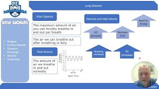 GCSE PE Respiratory System Revision [upl. by Oiramat]