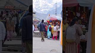 Kedarnath Darshan today travel himalayas mountains kedarnathyatra2024shortsvideo harharmahadev [upl. by Nnyleahs222]