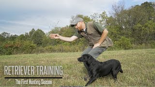 Labradors First Hunting Season  Labrador Retriever Training [upl. by Hock]