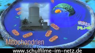 Die Zelle  Schulfilm Biologie [upl. by Marilin]