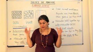 The Liquid State  Introduction  States Of Matter Part 24 [upl. by Sall]