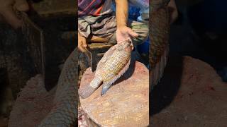 Unique Aesthetic Popular Big Tilapia Fish Cutting Skills In Expert Cutter 😱😱 shorts [upl. by Alien]