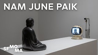 Nam June Paik Electronic Superhighway [upl. by Joacimah732]