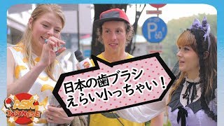 TINY Foreigners tell the truth about how SMALL JAPANESE things are [upl. by Garneau]