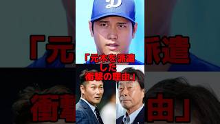 「わざとだろ！」大谷に取材拒否されたフジテレビが元木を派遣した本当の理由…プロ野球 海外の反応 mlb 大谷翔平 フジテレビ [upl. by Etessil]