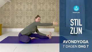 DAG 7 Stil Zijn 7 Dagen Avond Yoga [upl. by Gordie]