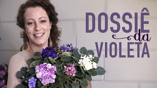 Como CUIDAR de VIOLETAS no vaso para FLORIR [upl. by Niret224]