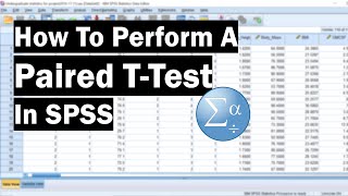 How To Perform A Paired TTest In SPSS [upl. by Madelyn]