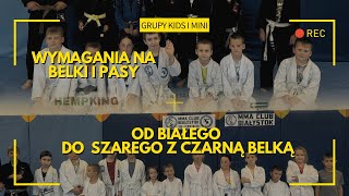 Wymagania egzaminacyjne dla dzieci od białego do szaroczarnego pasa BJJ w MMA CLUB BIAŁYSTOK [upl. by Mcspadden]