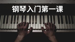 钢琴入门教学1【从零开始】钢琴新手看过来！ [upl. by Millham]