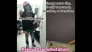 Energy never dies it only transcends transforms or transfers moorishscience transmutation [upl. by Aret561]