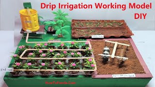 drip irrigation working model for science project  agriculture model DIY at home easily howtofunda [upl. by Dettmer]