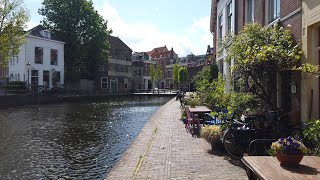 Walking in Schiedam 🌤️ Rotterdam Metro Area  The Netherlands  4K60 [upl. by Immaj43]