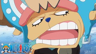 Franky Wont Stop Talking in Chopper’s Body  One Piece [upl. by Analad]