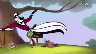 Looney Tunes  Best of Sylvester  WB Kids [upl. by Brinson84]