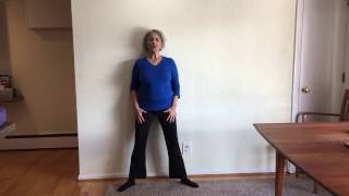 Senior Yoga Indoors Wall Squat [upl. by Ruthann]