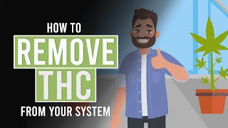 How to Remove THC From Your System [upl. by Wedurn]