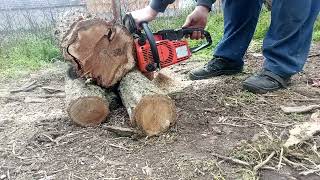 Stihl 010 AV Chainsaw [upl. by Eatnad]