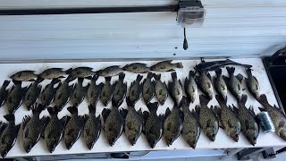 Fishing For Monster Crappie In Central Florida Lakes [upl. by Minsat]