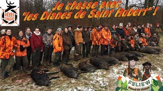 Deux saisons avec les quotDianes de Saint Hubertquot chasse en battue avec les chasseresses [upl. by Wirth]