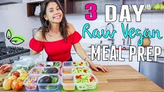 RAWVEGAN MEAL PREP FOR WEIGHTLOSS đźŚżYovana [upl. by Dranek]