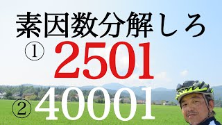 2501と40001を素因数分解せよ [upl. by Torres418]